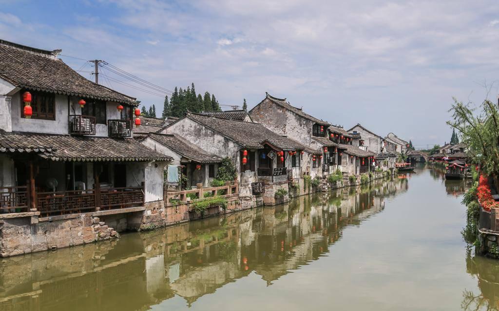 救援卷耳兔